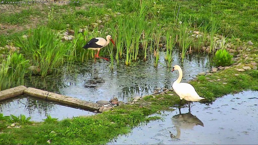 Agroturystyka Klekusiowo Boleslawiec  Exteriér fotografie