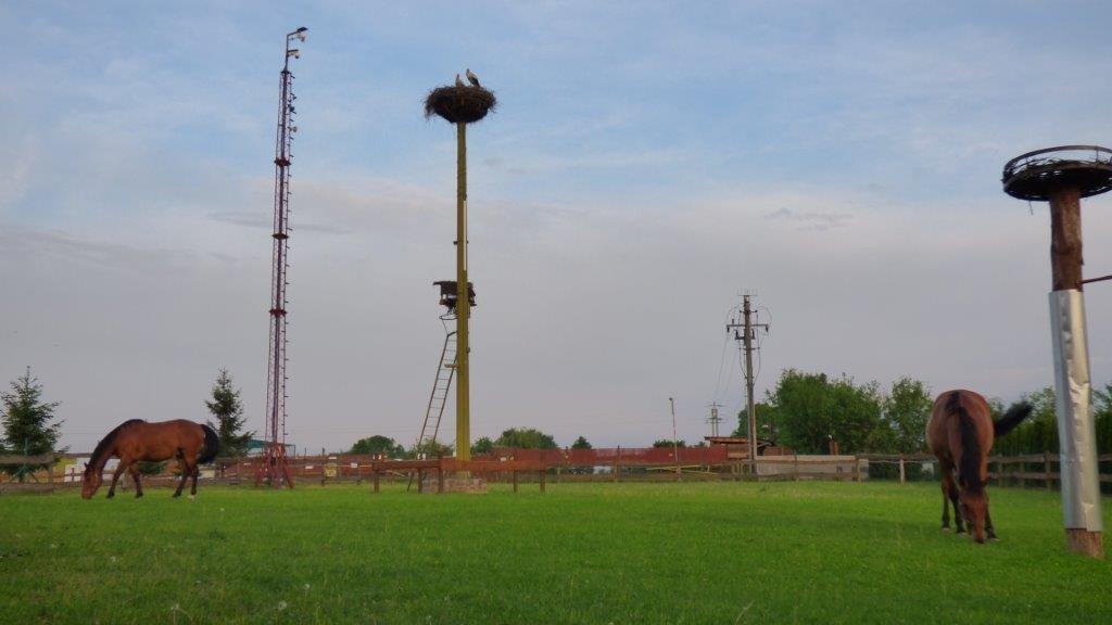 Agroturystyka Klekusiowo Boleslawiec  Exteriér fotografie