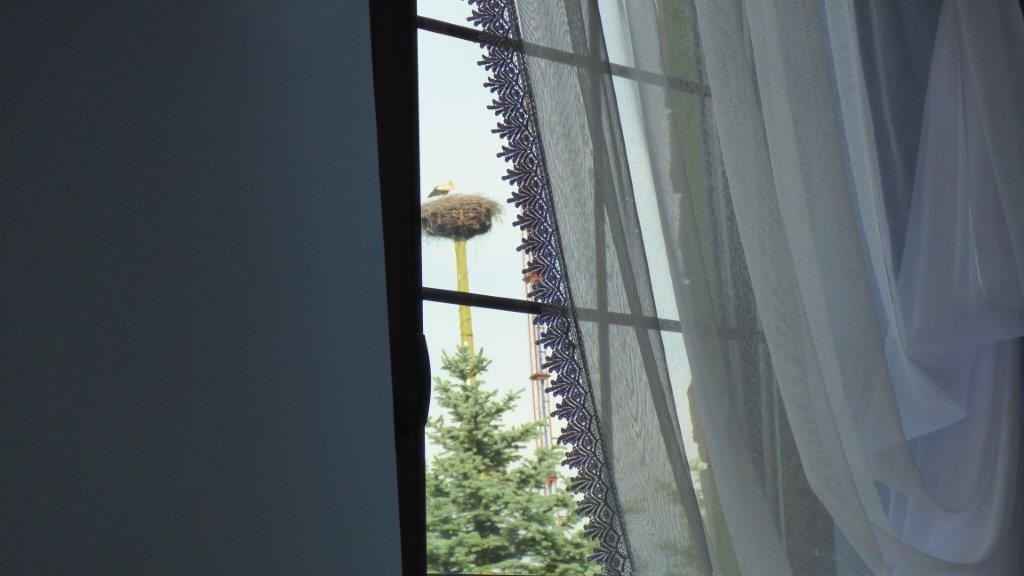 Agroturystyka Klekusiowo Boleslawiec  Exteriér fotografie