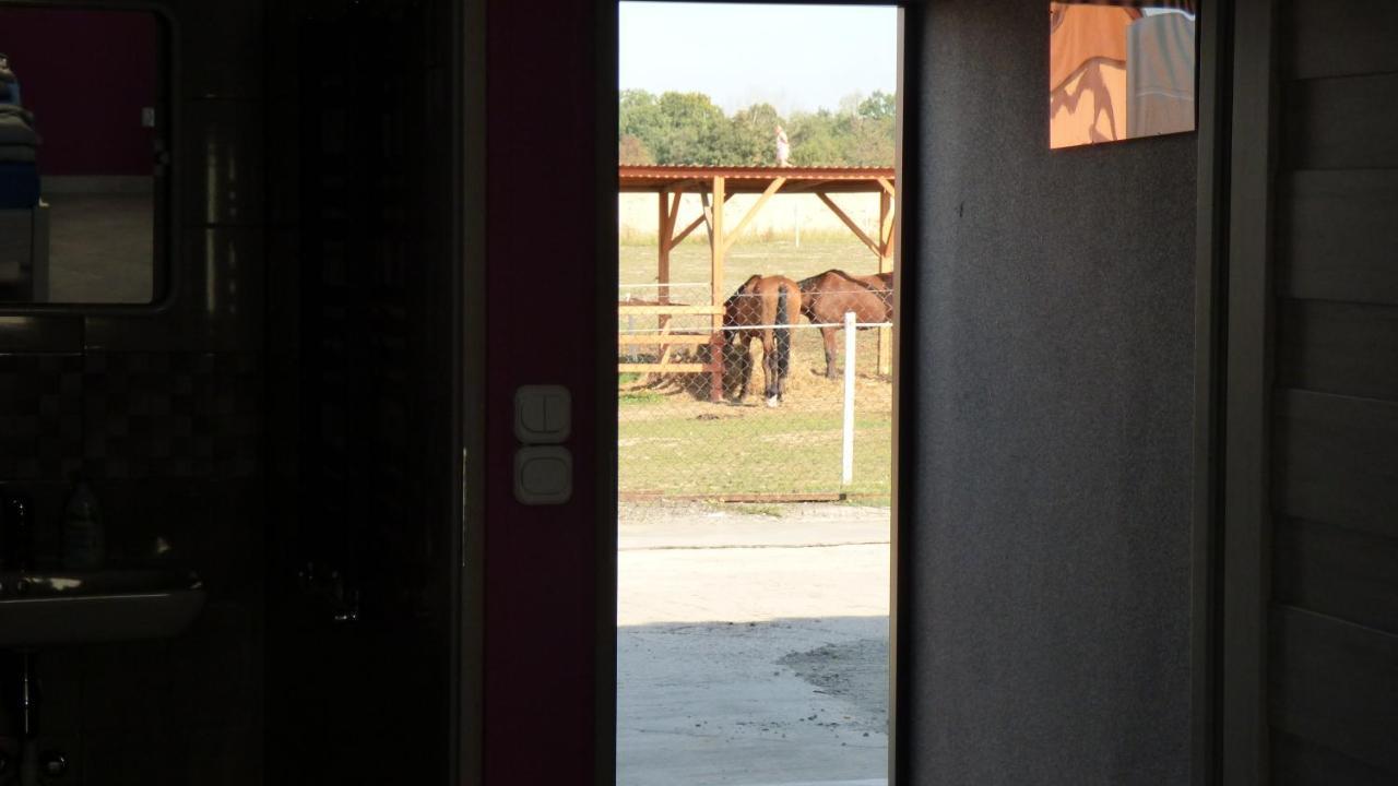 Agroturystyka Klekusiowo Boleslawiec  Exteriér fotografie